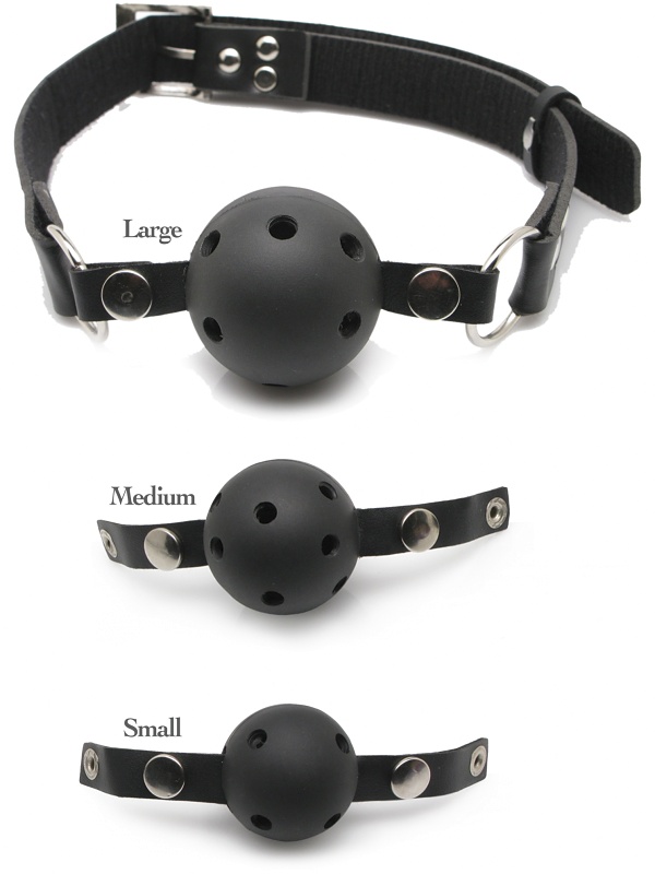 Ball Gag Training System