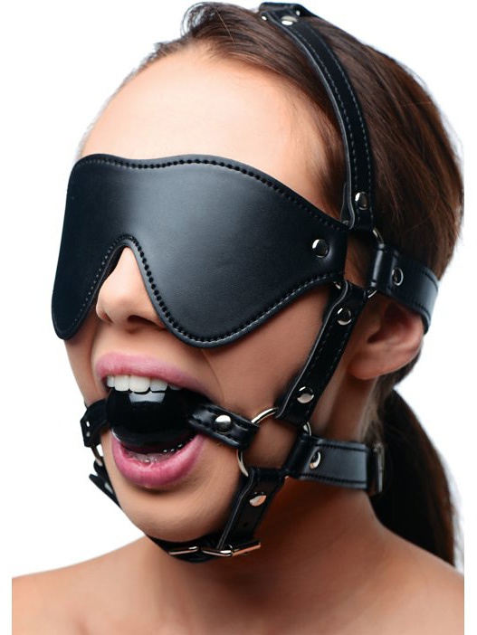 Blindfold Harness + Ball Gag