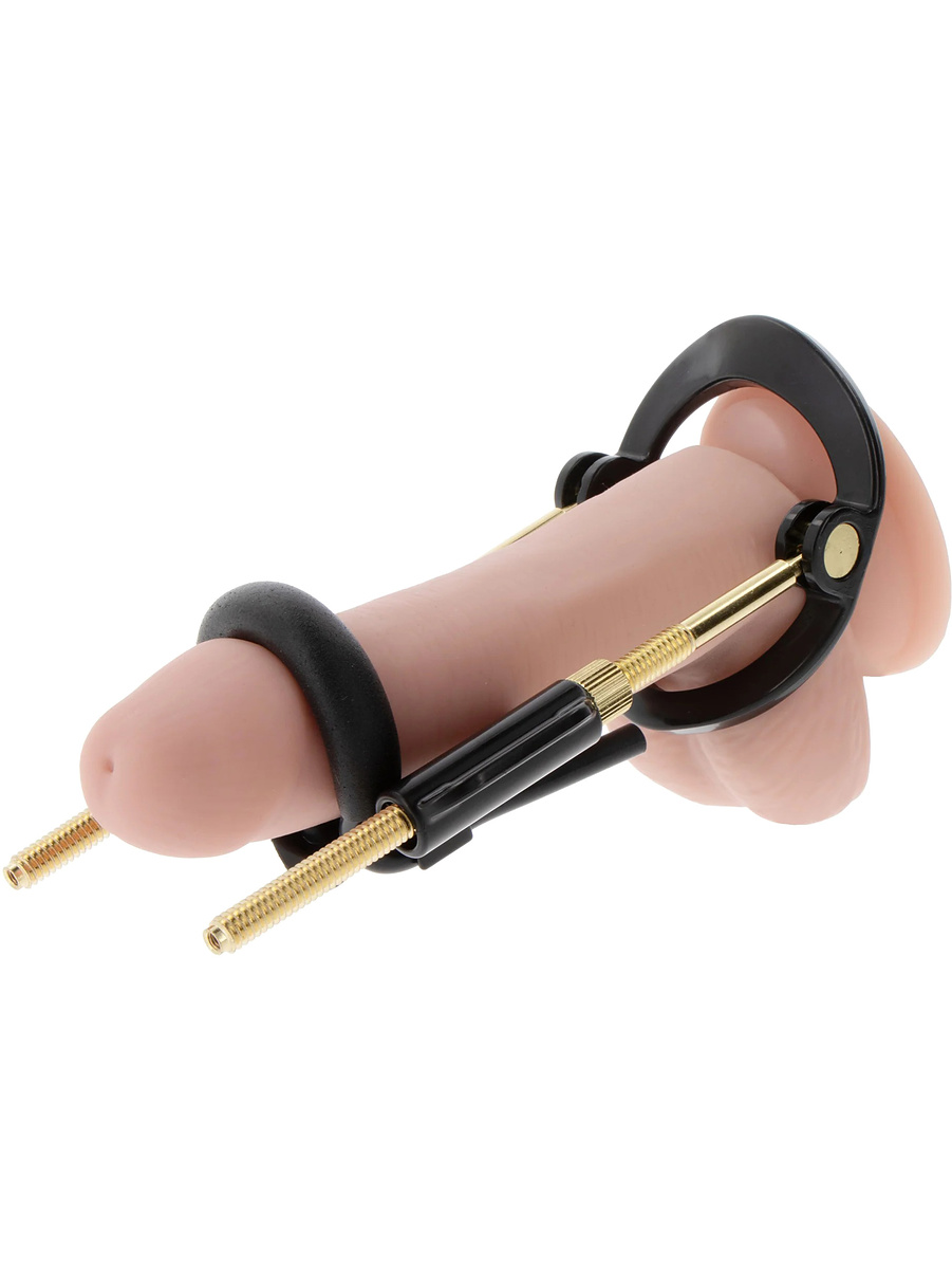 Fusion X, Penis Growth Training Basic Set